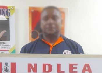 NDLEA Arrests Wanted Auto Spare Parts Dealer Over Cocaine Smuggling Attempt