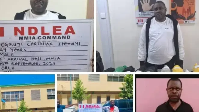 Four drug kingpins jailed for 95 years over N4.6bn narcotics trafficking