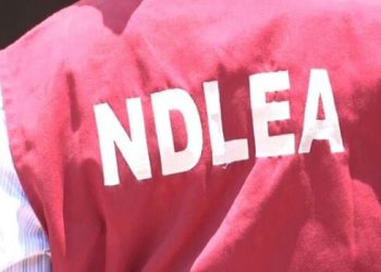 NDLEA Nabs Suspected Drug Baron After 17 Years In Hiding