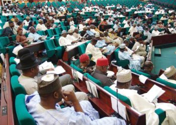 House of Reps orders ban on porn websites, calls for ISP sanctions