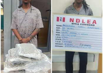 Lekki, Italy based businessmen arrested over illicit drug shipments to Nigeria, Europe 