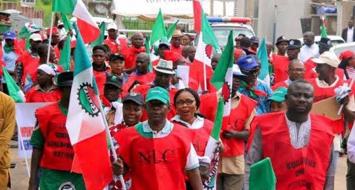 NLC Rejects Electricity Tariff Adjustment, Threatens Nationwide Protests