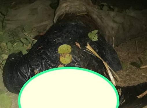 Suspected ritualists behead 14-year-old almajiri