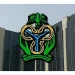 Nigerians borrowed N470bn in personal loans in Q4 2024 – CBN