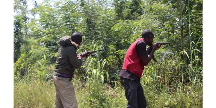 Gunmen attack Senator Natasha’s family residence in Kogi