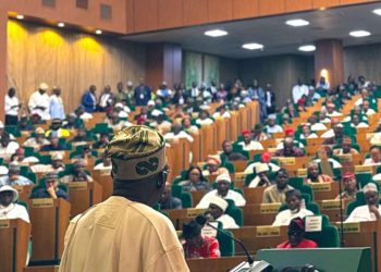 Federal govt’s budget deficit raises to N12.95trn