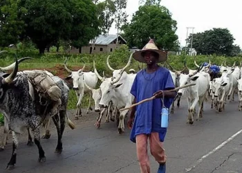 Herdsmen given 48-hour ultimatum to vacate Benue community