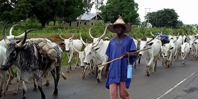 Herdsmen given 48-hour ultimatum to vacate Benue community