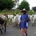 Herdsmen given 48-hour ultimatum to vacate Benue community