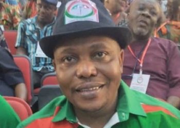 Anambra guber election: Jude Ezenwafor wins PDP ticket unopposed