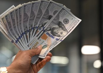 CBN Boosts FX Market With $197.71m Amid Trump Tariffs