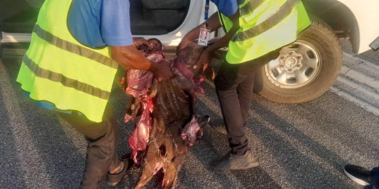Flights disrupted as Air Peace plane kills antelope at Asaba airport