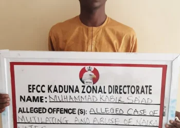 Naira abuse: Kaduna Court jails TikToker for six months