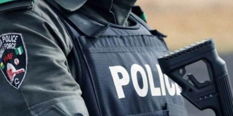 Police investigate suspected murder of pregnant woman found hanging on tree in Anambra