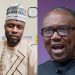 Don’t blame APC, Tinubu, Others for LP crisis, Blame Yourself, Faduri Oluwadare Joseph Tells Peter Obi