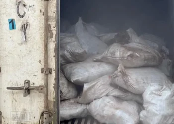 ICYMI: Customs intercepts container loaded with 10,603 male donkey genitals