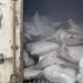 ICYMI: Customs intercepts container loaded with 10,603 male donkey genitals