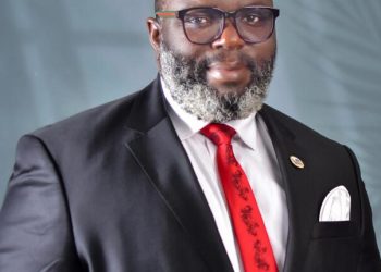 Group launches initiative to restore Ogoni mangroves with 560m trees, create 500,000 jobs