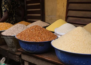 Nigeria spends $10bn on food imports annually, says minister