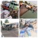 Several Feared Dead, Others Injured  In A Fatal Road Crash Near Ebonyi Varsity Permanent Site