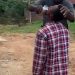 Osun chief forces young man to drink poison for allegedly stealing two ears of corn