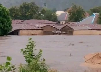 Hong Town in Adamawa submerged by flood