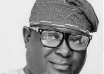 Ogun Forestry Association Expresses Concerns on Man Killed by Elephant, Calls for Action on Human–Wildlife Conflicts
