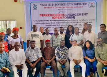 NDDC Partners Stakeholders on Project Implementation