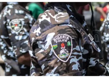 Nigeria Police arrest wanted Benin Republic criminal in Ogun