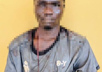 Man stabs his grandparents to death over food in Kano