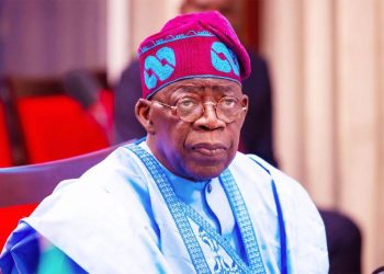 Tinubu declares strong support for constitution review