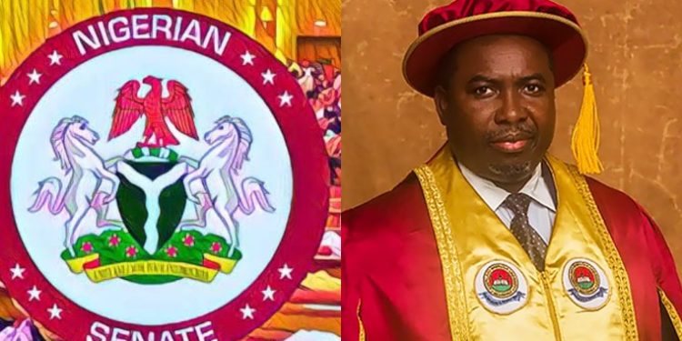 Senate Confirms Amupitan As INEC Chairman