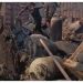 Gas explosion destroys several shops in Lagos