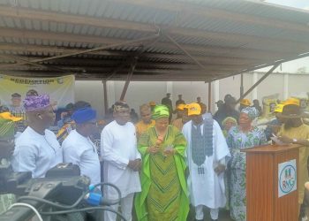 RMG Empowers Hundreds, Honours Elemide, Osoba, others at Renewed Hope Youth Mega Programme in Ogun