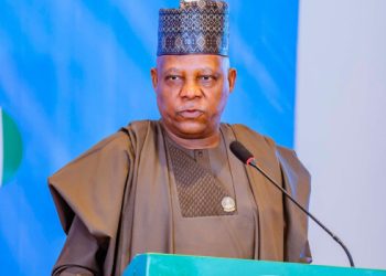 Shettima Asks Nigerians To Embrace Tolerance, Unity