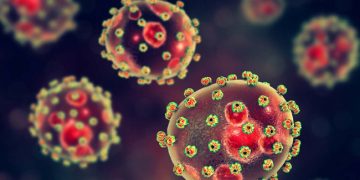 NCDC Confirms 165 Lassa Fever Cases, 31 Deaths In Five Weeks